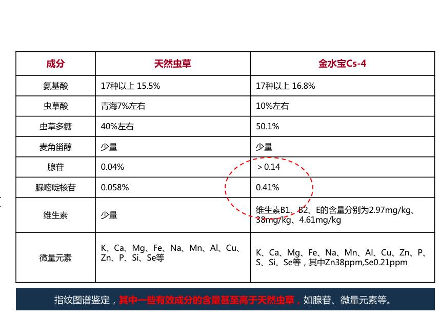 虫草菌粉的功效与作用